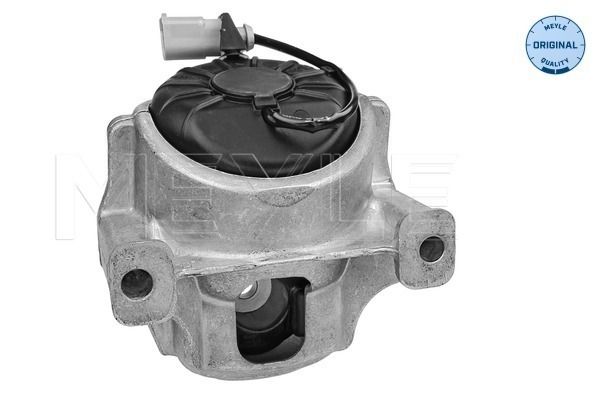 MEYLE 100 199 1009 - Lagerung, Motor