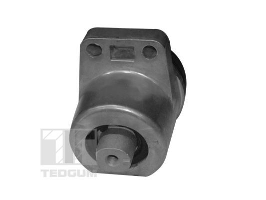 TEDGUM 00399821 - Lagerung, Motor