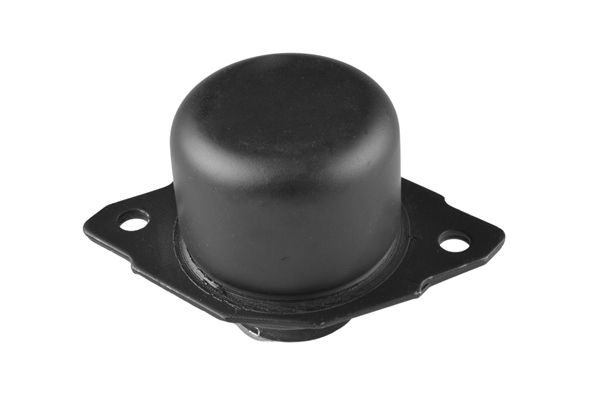 TEDGUM 00725574 - Lagerung, Motor