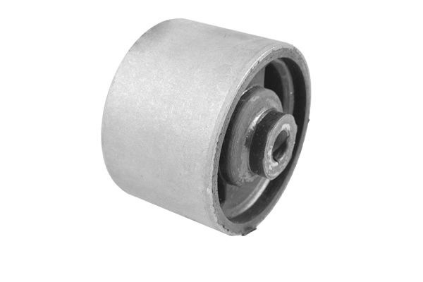 TEDGUM 00607021 - Lagerung, Motor