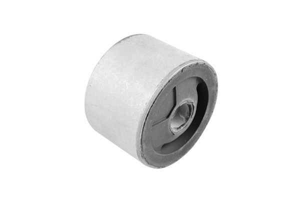 TEDGUM 00134246 - Lagerung, Motor