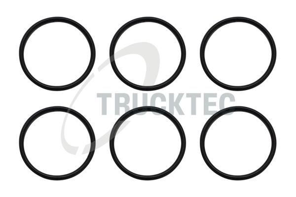 TRUCKTEC AUTOMOTIVE 02.10.145 - Dichtring, Kerzenschacht