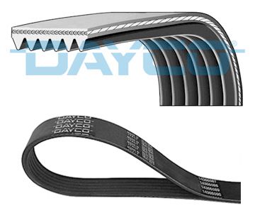 DAYCO 6PK1120HD - Keilrippenriemen