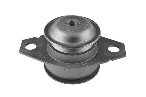 TEDGUM 00213221 - Lagerung, Motor