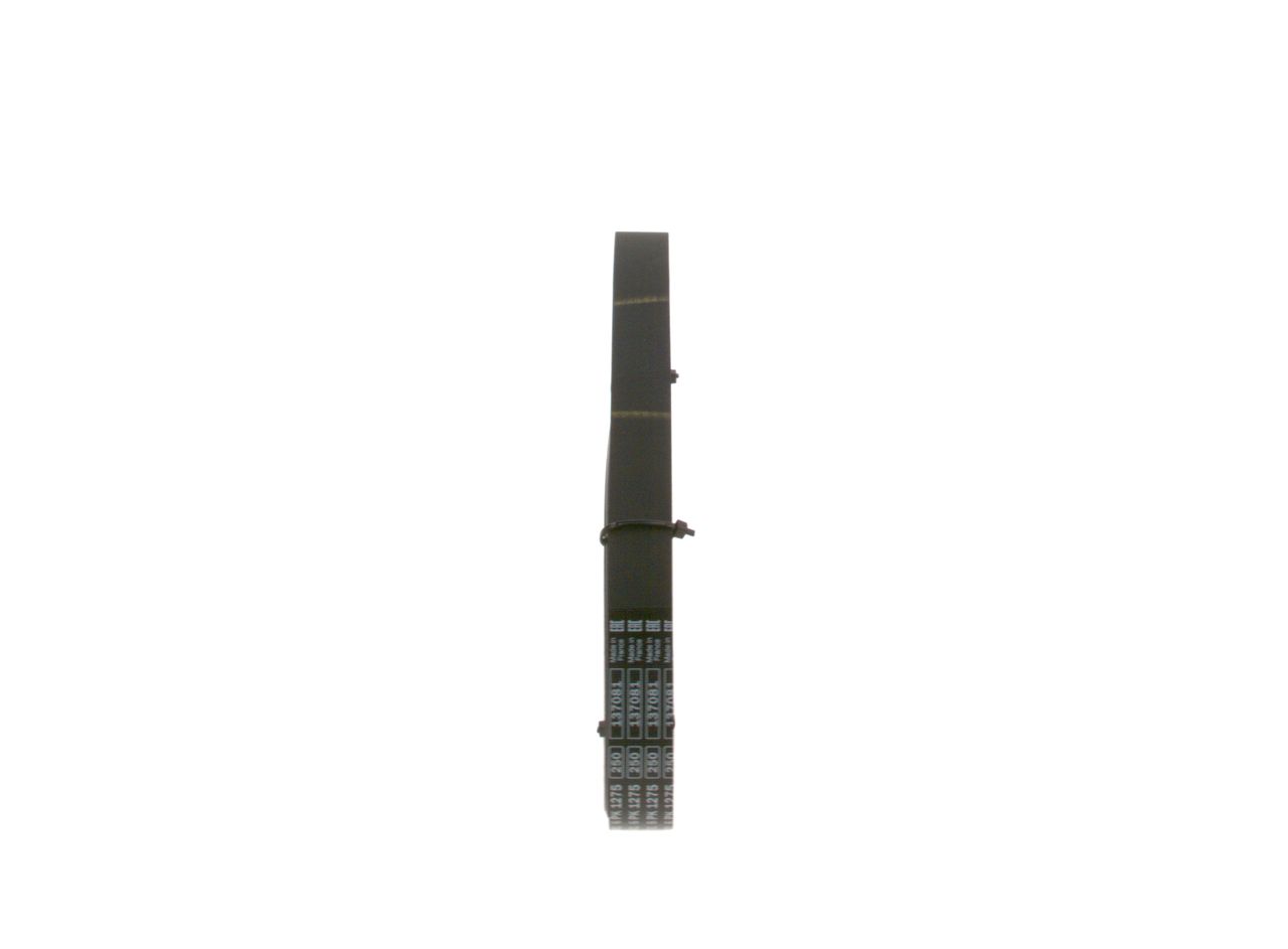 BOSCH 1 987 946 016 - Keilrippenriemen