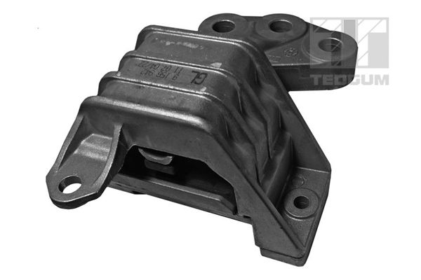 TEDGUM 00507909 - Lagerung, Motor