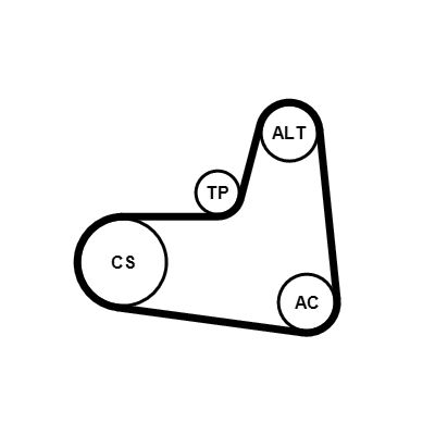 CONTINENTAL CTAM 6PK1005K1 - Keilrippenriemensatz