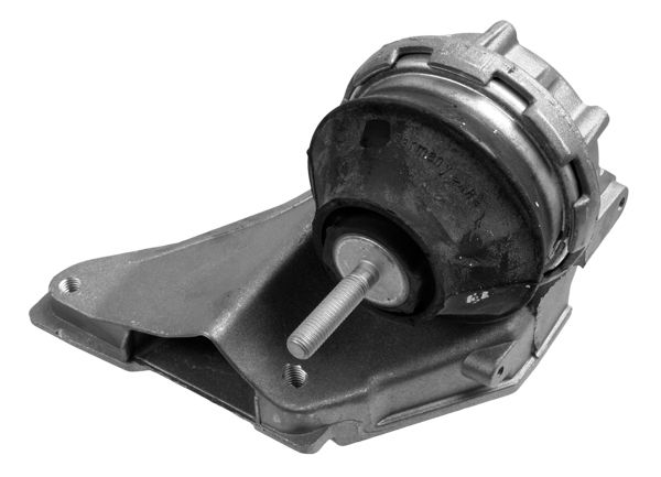 LEMFÖRDER 13660 01 - Lagerung, Motor