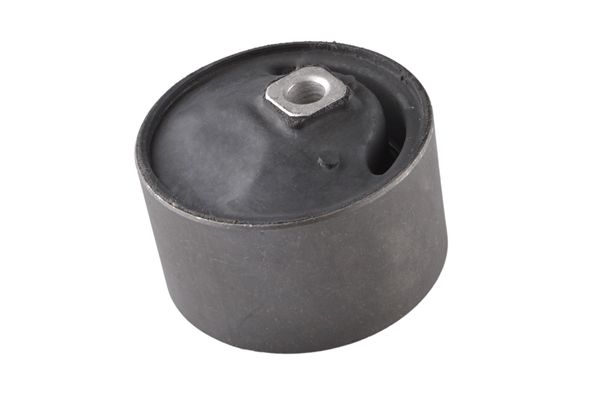 TEDGUM 00465454 - Lagerung, Motor