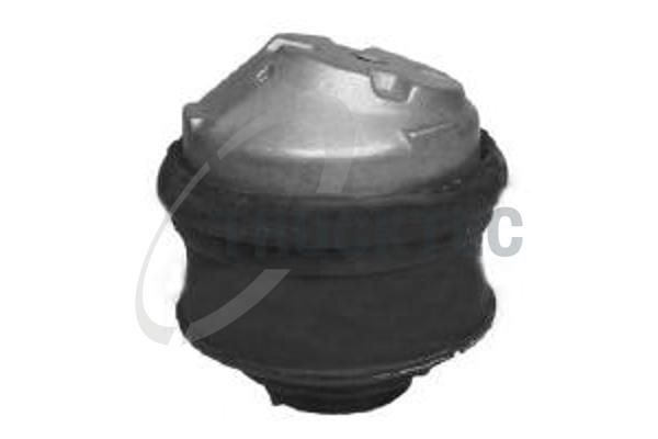 TRUCKTEC AUTOMOTIVE 02.22.029 - Lagerung, Motor