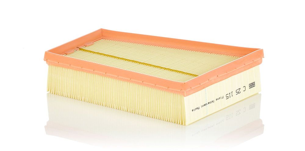 MANN-FILTER C 25 115 - Luftfilter