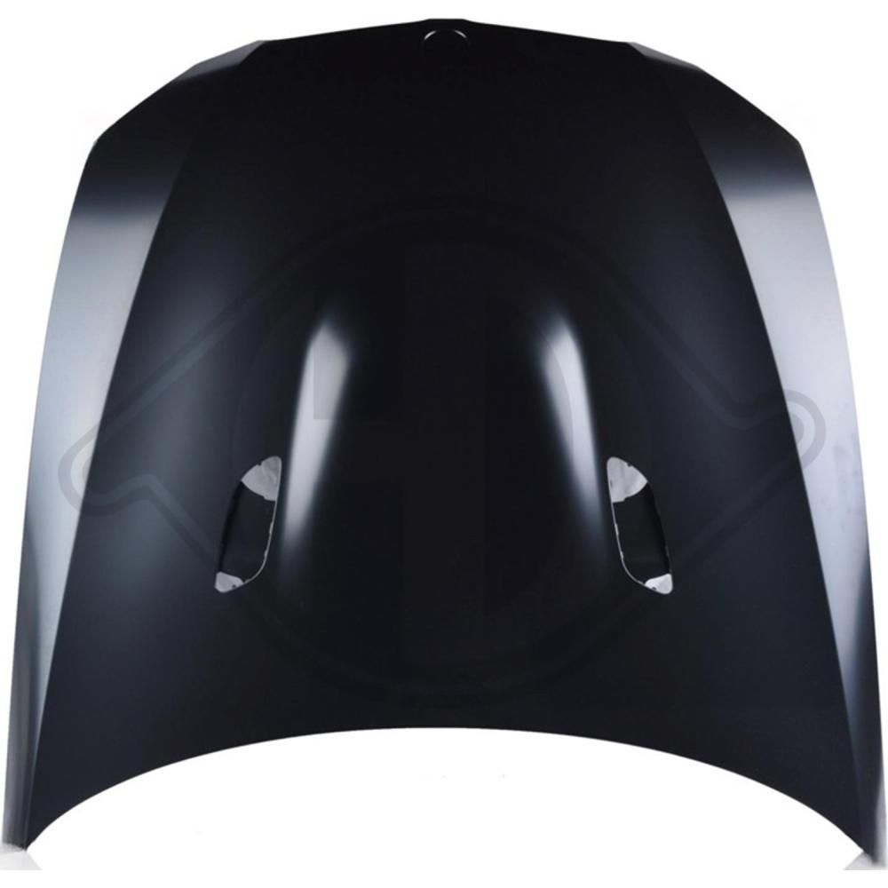 DIEDERICHS 1216203 - Motorhaube