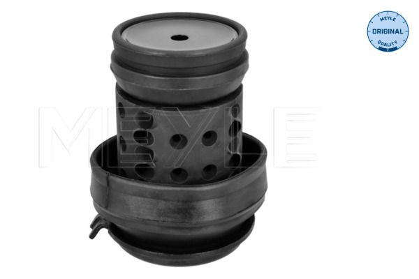MEYLE 100 199 0036 - Lagerung, Motor