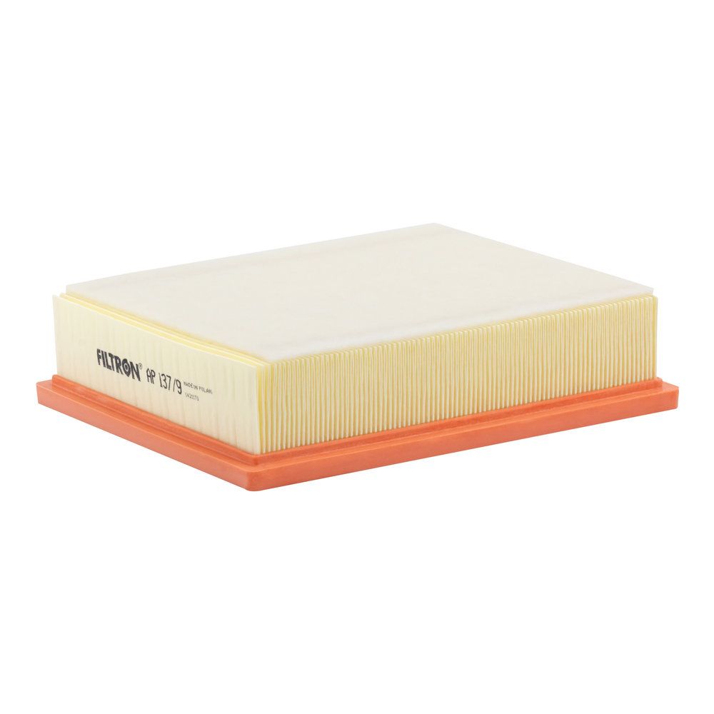 FILTRON AP 137/9 - Luftfilter