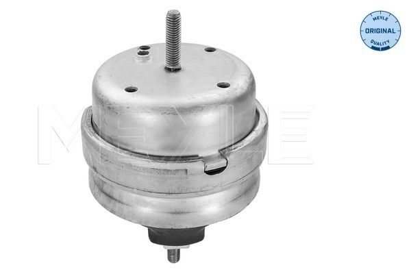 MEYLE 100 199 0189 - Lagerung, Motor