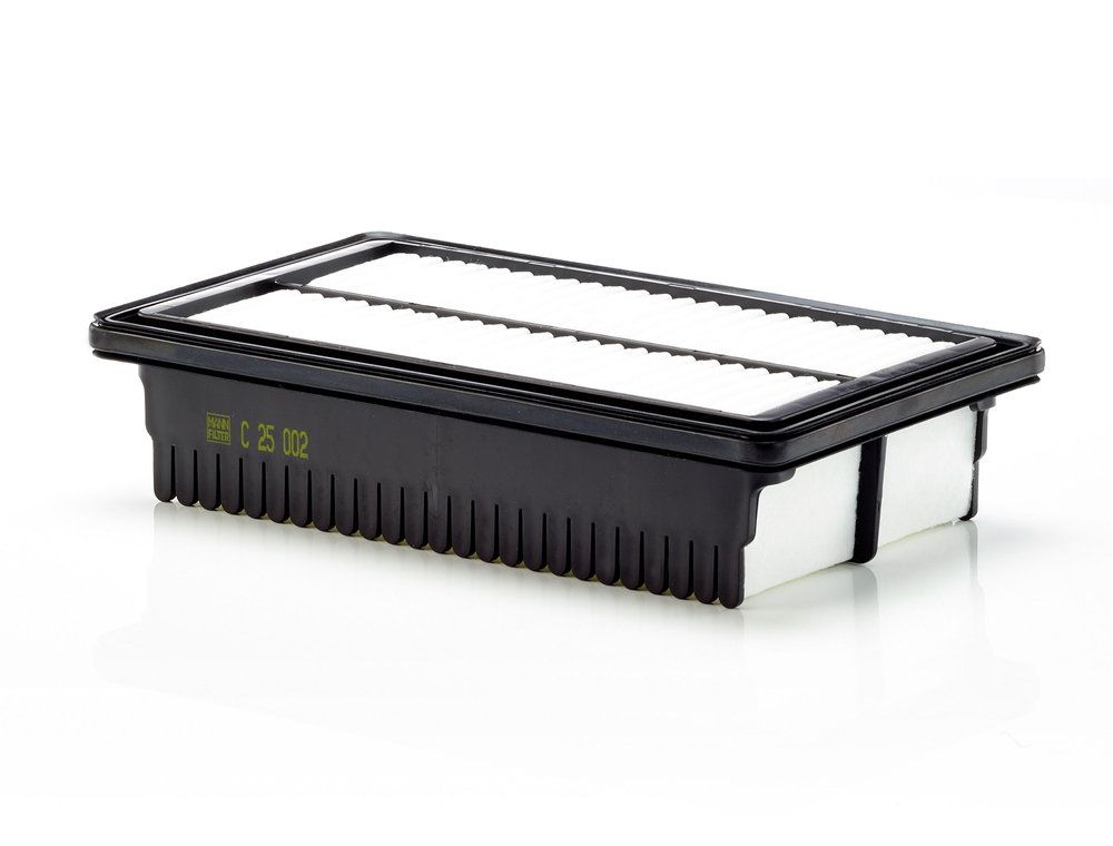MANN-FILTER C 25 002 - Luftfilter