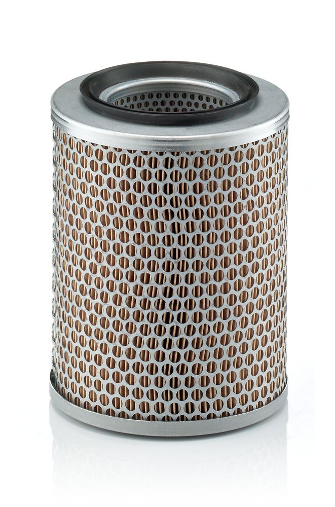 MANN-FILTER C 17 134 - Luftfilter