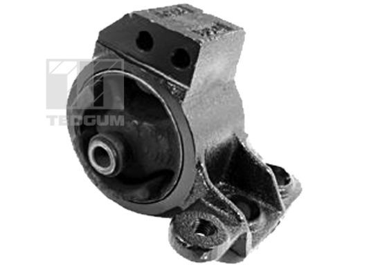 TEDGUM 00340491 - Lagerung, Motor