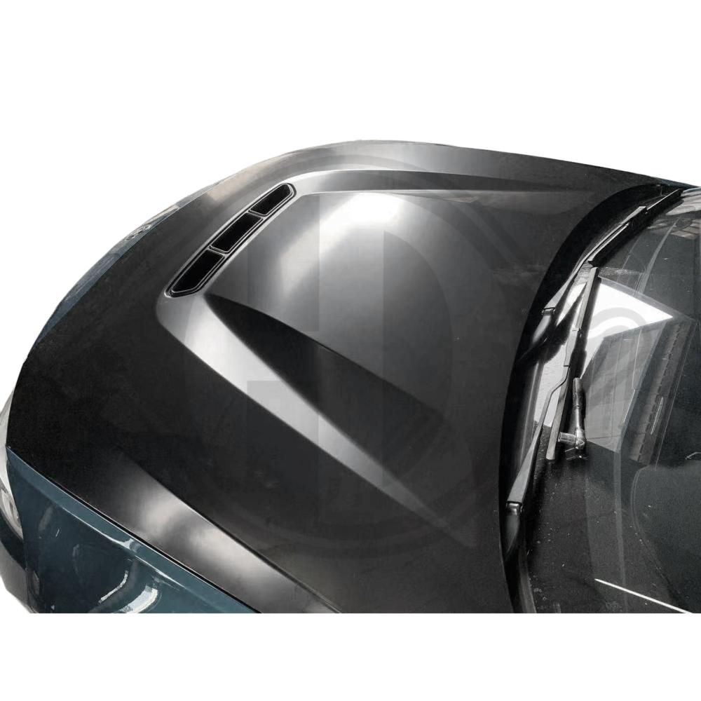 DIEDERICHS 1235202 - Motorhaube