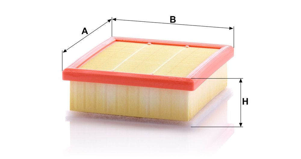 MANN-FILTER C 21 002 - Luftfilter