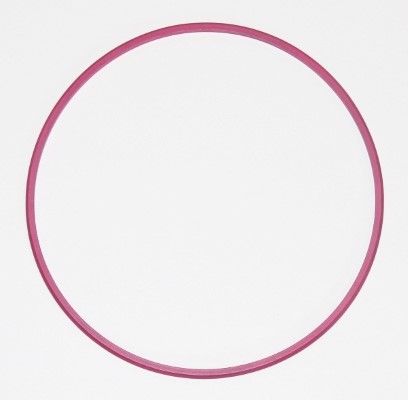 ELRING 003.881 - Dichtring