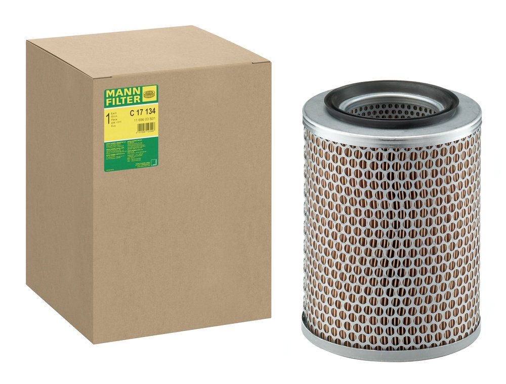 MANN-FILTER C 17 134 - Luftfilter