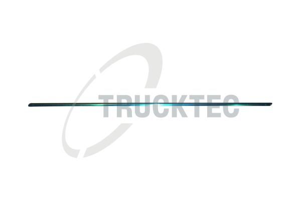 TRUCKTEC AUTOMOTIVE 02.52.130 - Zier-/Schutzleiste, Tür