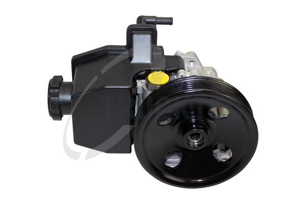 TRUCKTEC AUTOMOTIVE 02.37.273 - Hydraulikpumpe, Lenkung