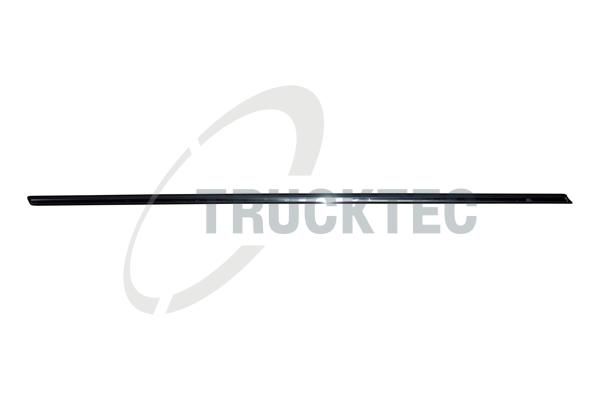 TRUCKTEC AUTOMOTIVE 02.52.127 - Zier-/Schutzleiste, Tür