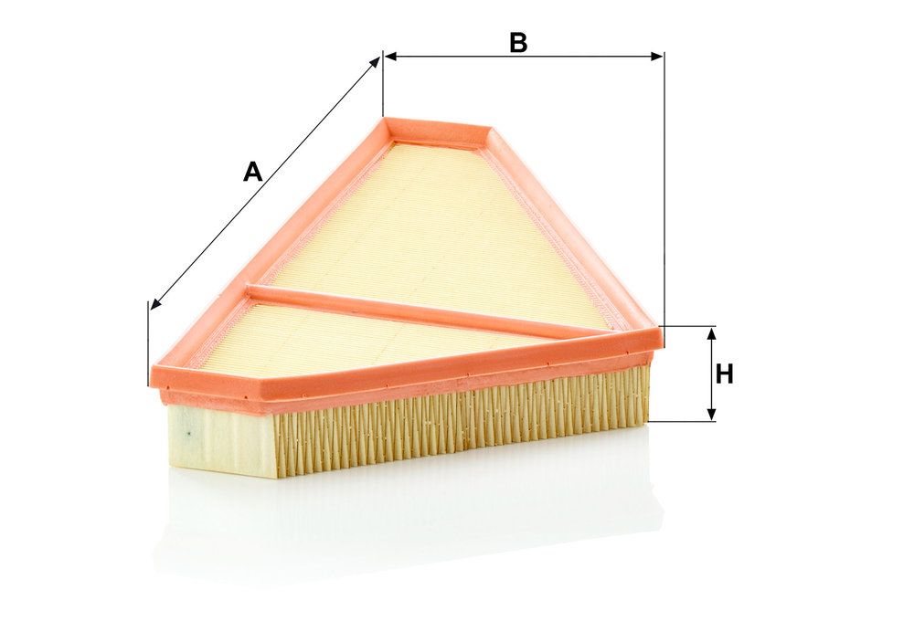 MANN-FILTER C 36 009 - Luftfilter