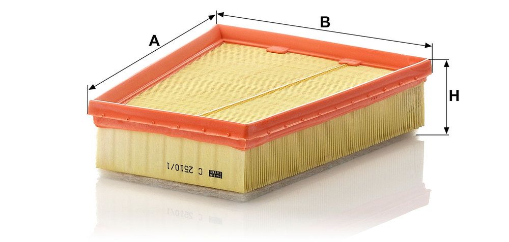 MANN-FILTER C 2510/1 - Luftfilter