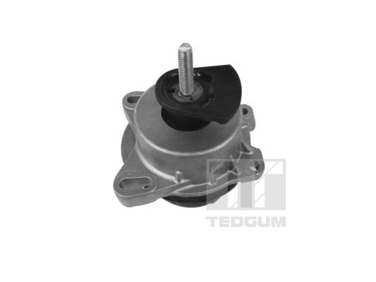 TEDGUM 00228943 - Lagerung, Motor