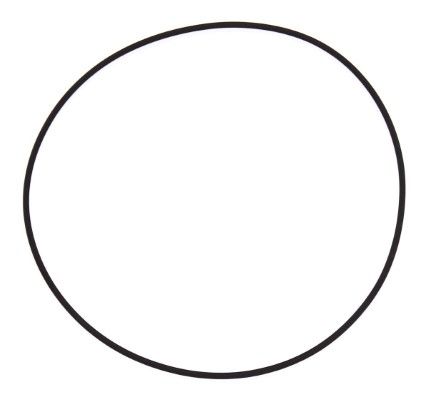 ELRING 126.001 - Dichtring