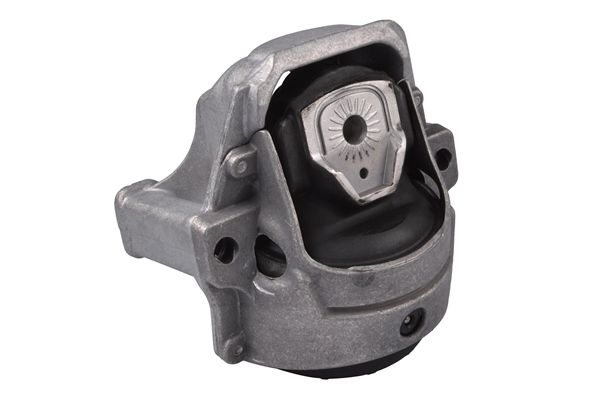 TEDGUM 00058470 - Lagerung, Motor