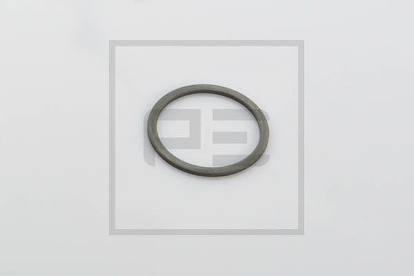 PE Automotive 016.160-00A - Distanzscheibe, Bremswelle