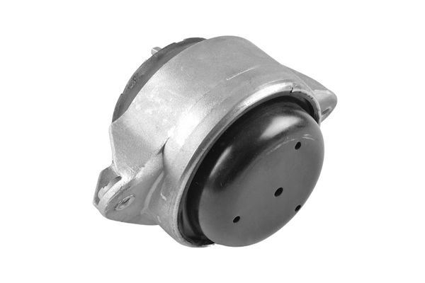TEDGUM 00415897 - Lagerung, Motor