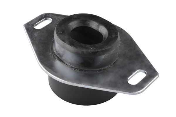 TEDGUM 00214223 - Lagerung, Motor