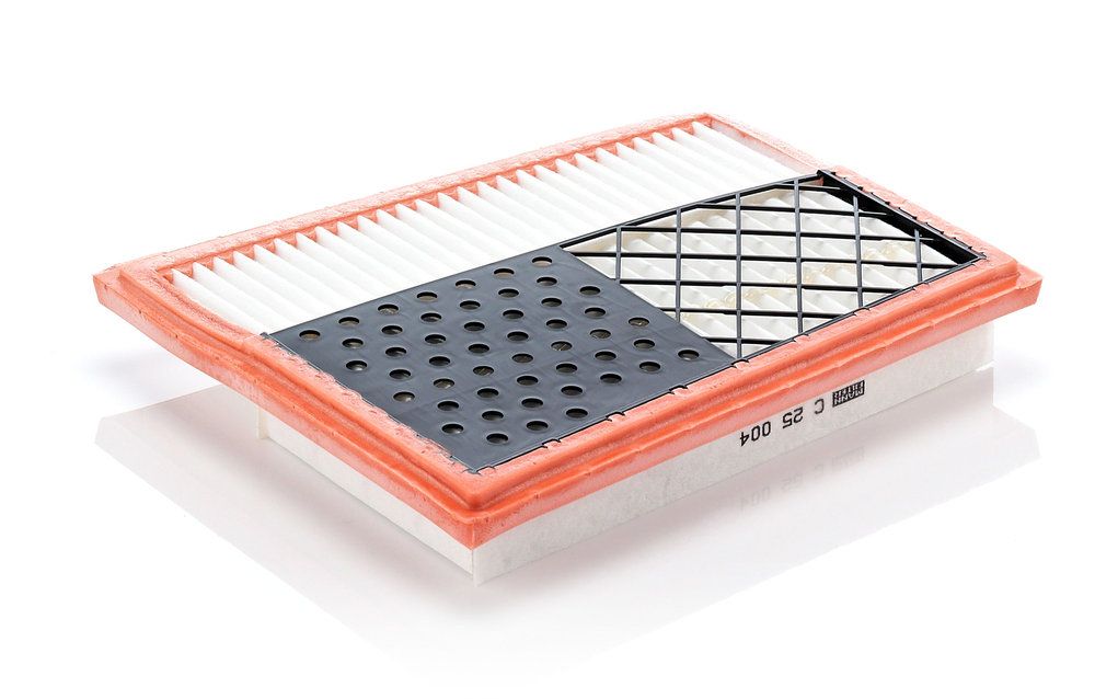 MANN-FILTER C 25 004 - Luftfilter