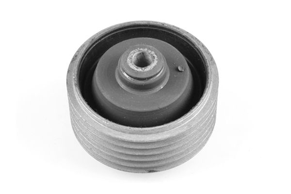 TEDGUM 00136061 - Lagerung, Motor