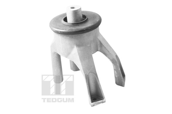 TEDGUM 00725748 - Lagerung, Motor