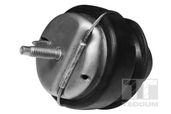 TEDGUM 00745687 - Lagerung, Motor