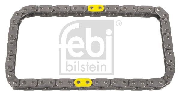 FEBI BILSTEIN 100069 - Kette, Ölpumpenantrieb