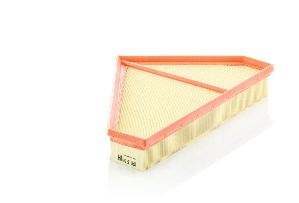 MANN-FILTER C 36 009 - Luftfilter