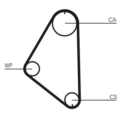 CONTINENTAL CTAM CT558WP1 - Wasserpumpe + Zahnriemensatz