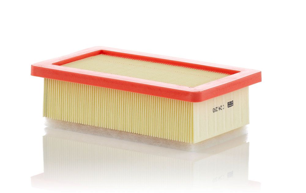 MANN-FILTER C 24 250 - Luftfilter