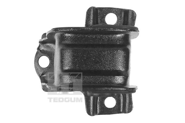 TEDGUM 00264856 - Lagerung, Motor