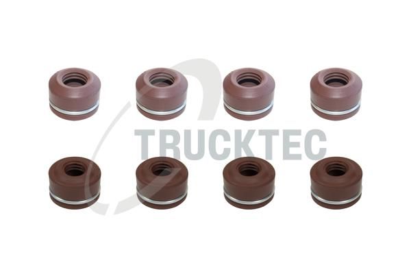 TRUCKTEC AUTOMOTIVE 02.43.151 - Dichtungssatz, Ventilschaft