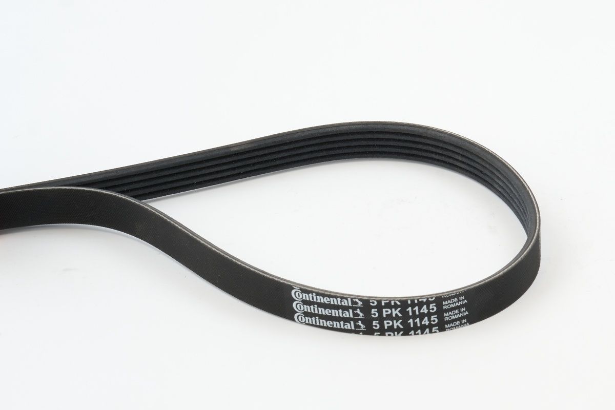 CONTINENTAL CTAM 5PK1145 - Keilrippenriemen