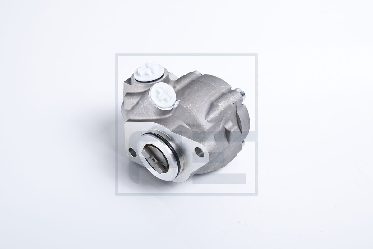 PE Automotive 032.501-00A - Hydraulikpumpe, Lenkung