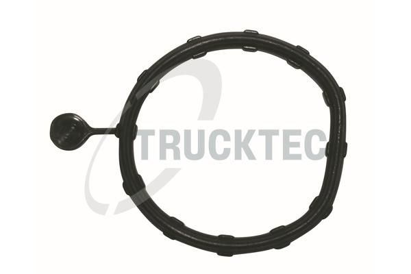 TRUCKTEC AUTOMOTIVE 02.19.346 - Dichtung, Wasserkasten